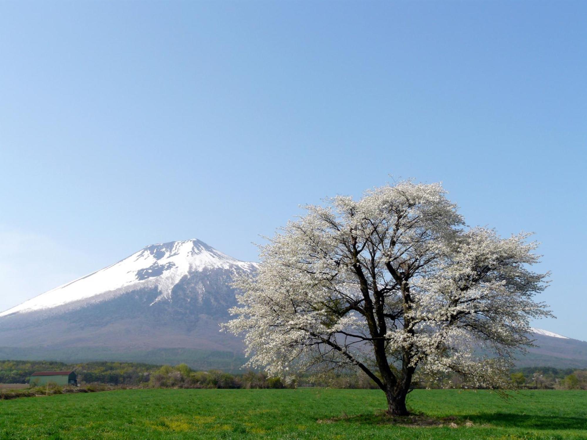 Ana Intercontinental Appi Kogen Resort By Ihg Hachimantai  Zewnętrze zdjęcie